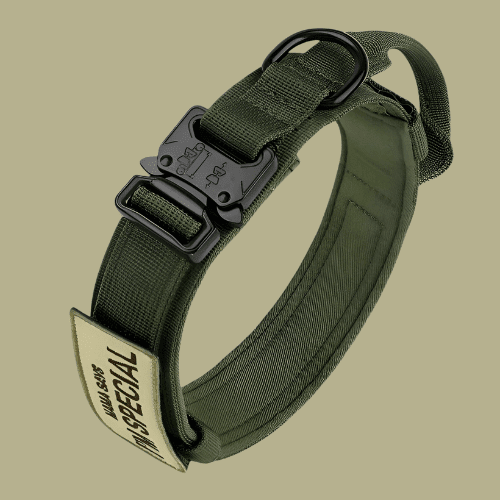 Tactical Nylon Dog Collar — Adjustable & Durable