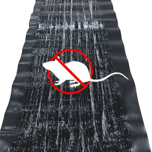 Sticky Mouse & Insect Trap — Non-Toxic, 10 Pack