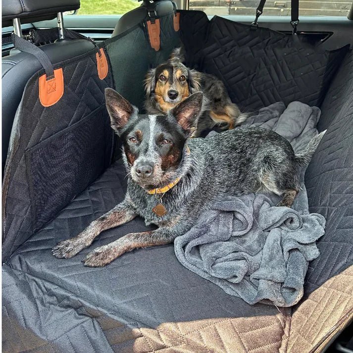 Waterproof Dog Car Carrier — Memory Foam Safety