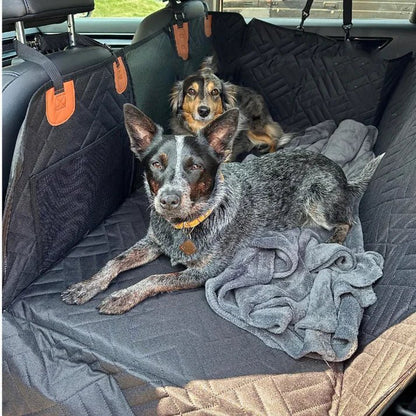 Waterproof Dog Car Carrier — Memory Foam Safety