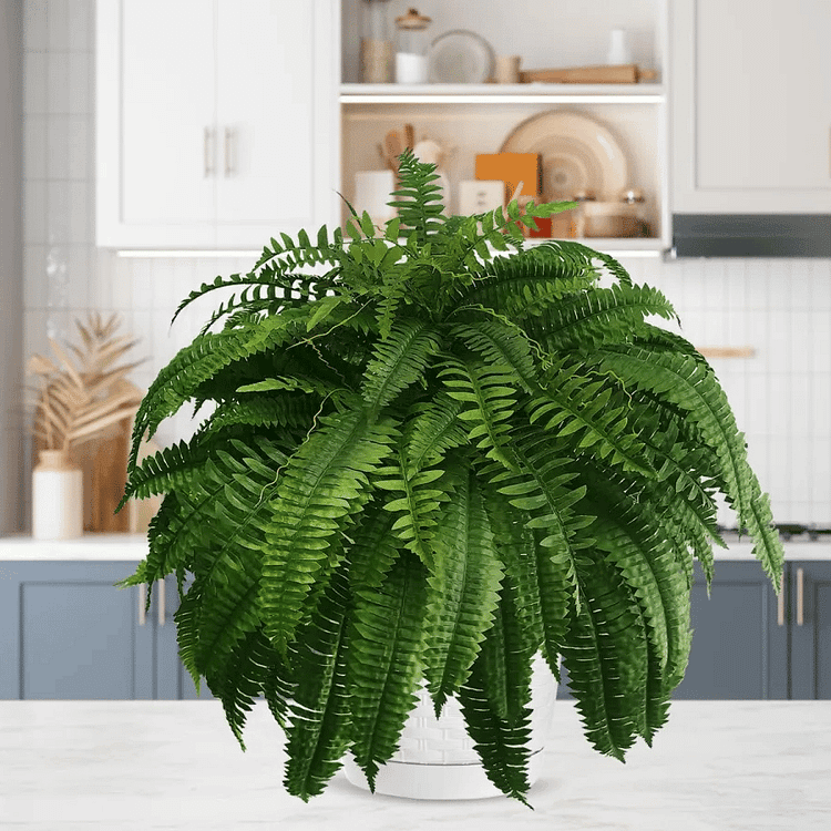 Artificial Boston Fern — UV-Resistant Faux Greenery 4