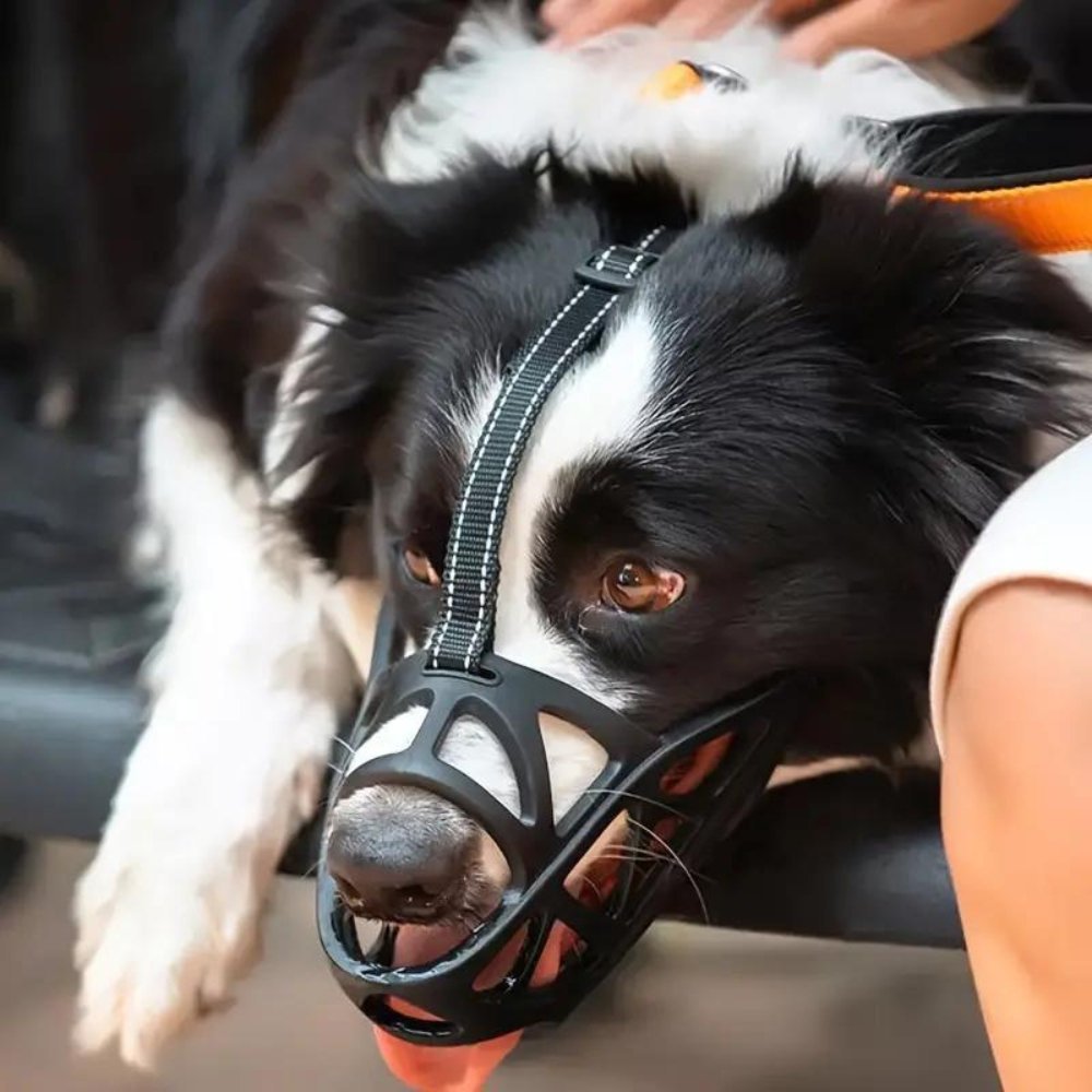 Breathable Dog Muzzle — Bite & Bark Control 1