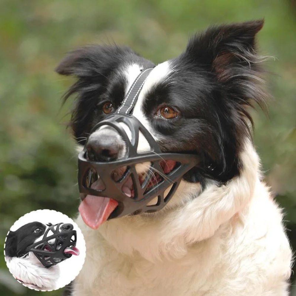 Breathable Dog Muzzle — Bite & Bark Control 3