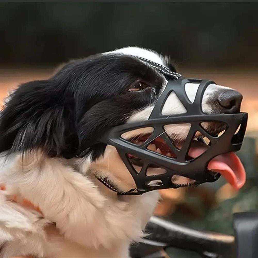 Breathable Dog Muzzle — Bite & Bark Control 6