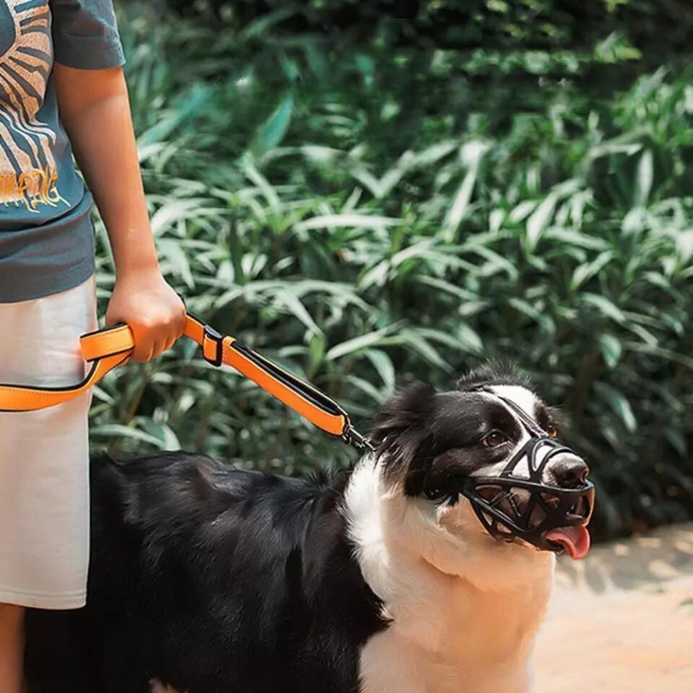 Breathable Dog Muzzle — Bite & Bark Control 8