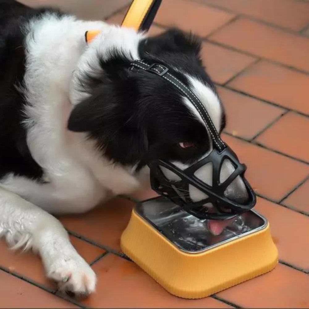 Breathable Dog Muzzle — Bite & Bark Control 9