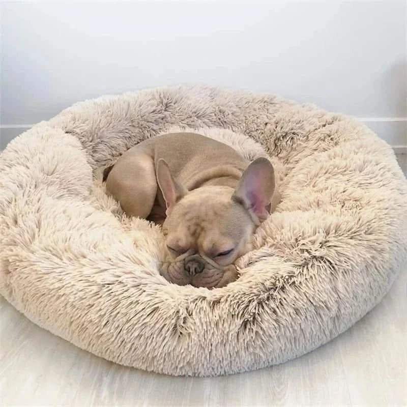 Calming Orthopedic Dog Bed — Washable Anti-Stress 1