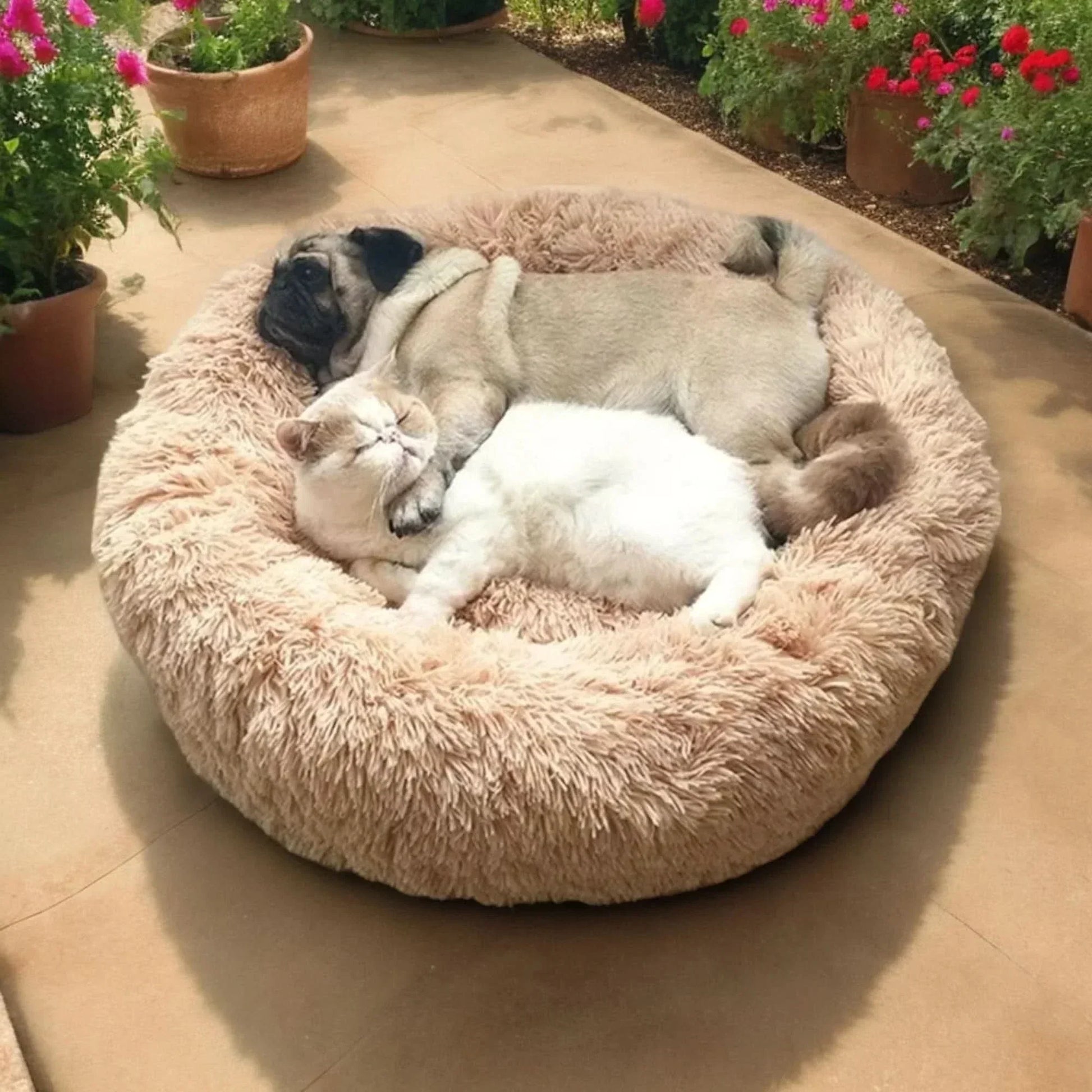 Calming Orthopedic Dog Bed — Washable Anti-Stress 4