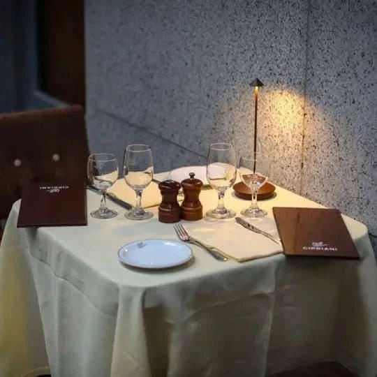 Cordless LED Table Lamp for Indoor & Outdoor 10