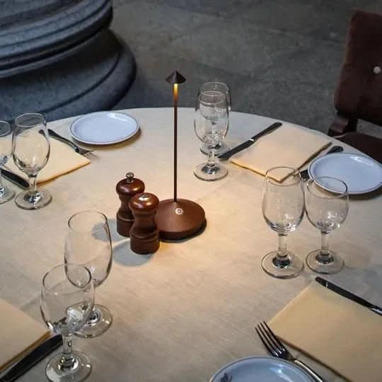Cordless LED Table Lamp for Indoor & Outdoor 2