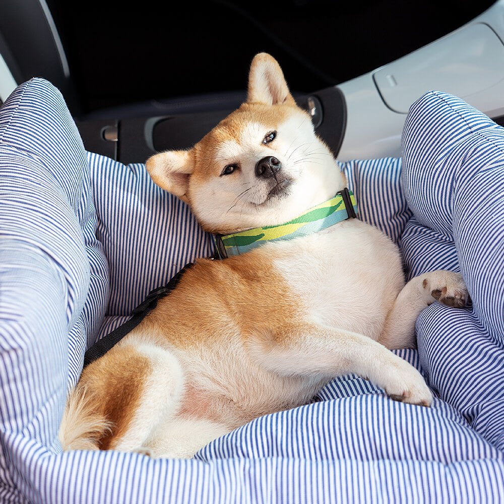 Dog Car Seat Bed with Washable Cover & Adjustable Straps 10