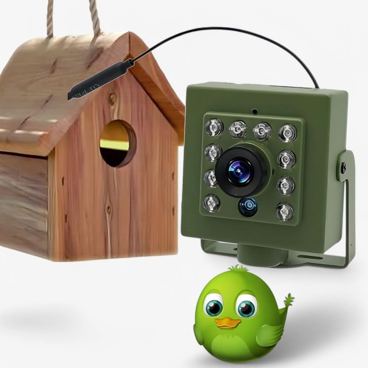 HD 1080p Bird Nest Camera — Night Vision & Motion 2