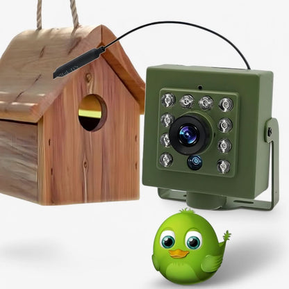 HD 1080p Bird Nest Camera — Night Vision & Motion 2