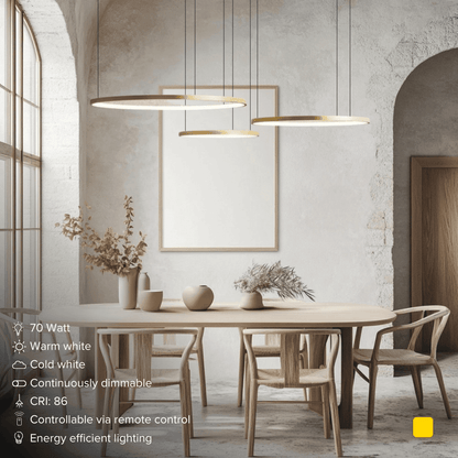 Minimalist Ceiling Light — Timeless Elegant Glow 5