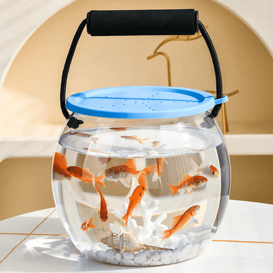Portable Clear Aquarium — Observe Fish & Plants 1