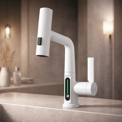 Pull-Out Kitchen Faucet with LED Temperature Display 11