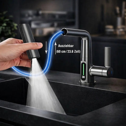 Pull-Out Kitchen Faucet with LED Temperature Display 4