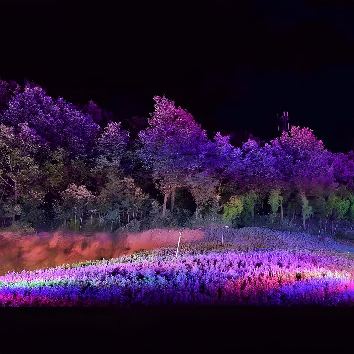 RGB LED Outdoor Spotlight — Waterproof Landscape 6