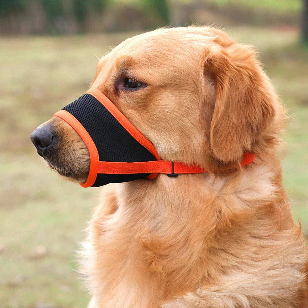 Soft Mesh Dog Muzzle — Breathable & Adjustable Fit 4