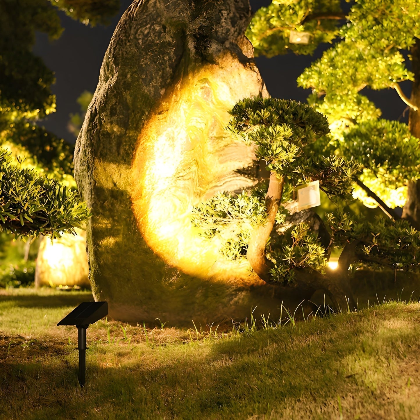 Solar LED Garden Spotlight — Adjustable Head & RGB 1