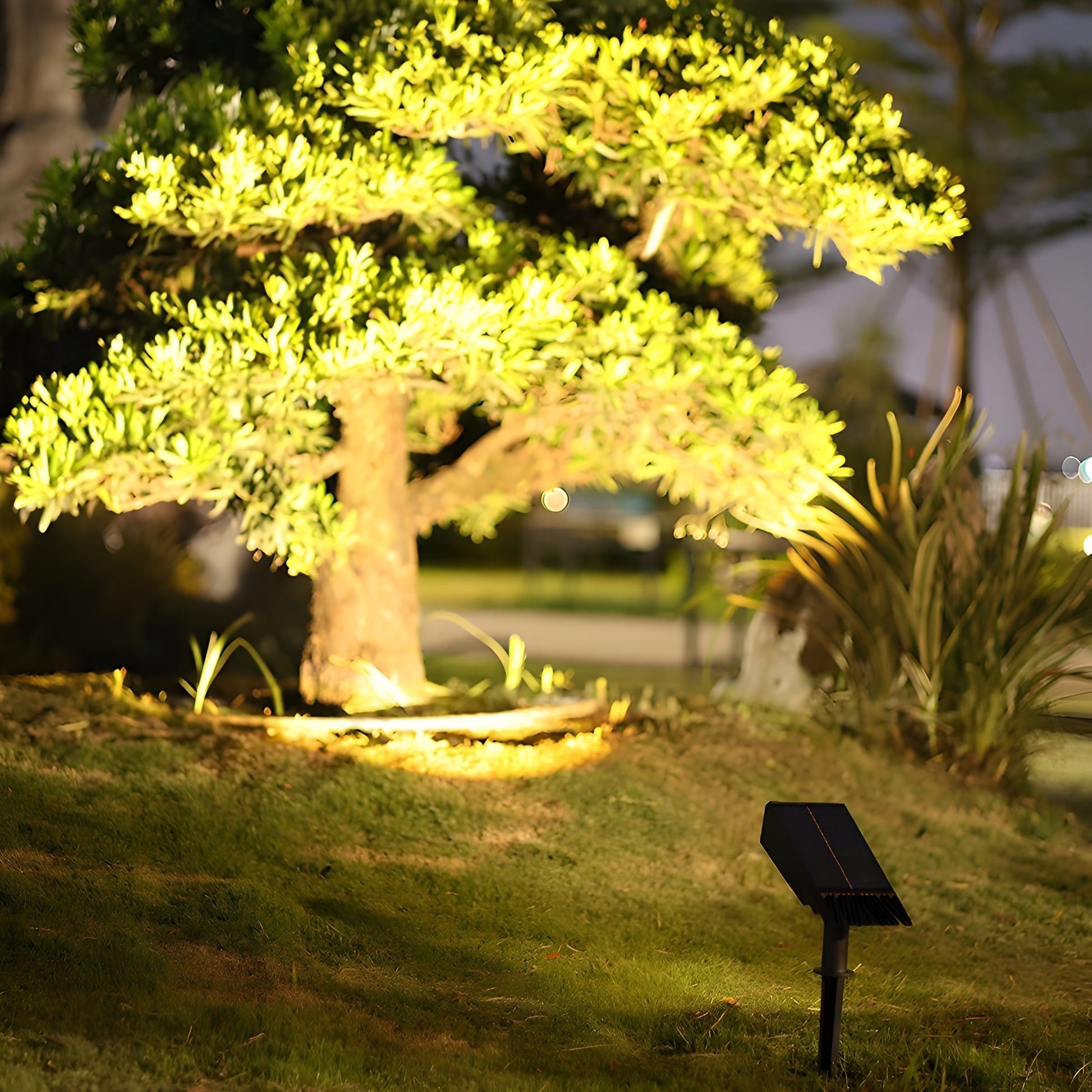 Solar LED Garden Spotlight — Adjustable Head & RGB 3