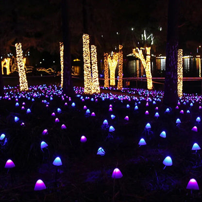 Solar LED Garden String Lights — Waterproof Decor 5
