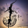 Wind to Fly