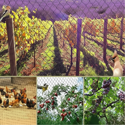 UV-Resistant Bird Netting for Fruit Trees 1
