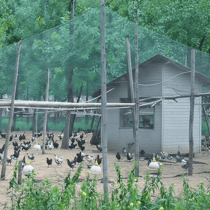 UV-Resistant Bird Netting for Fruit Trees 3